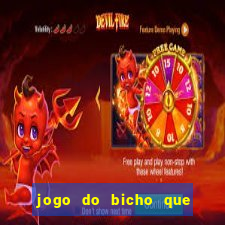 jogo do bicho que paga no pix